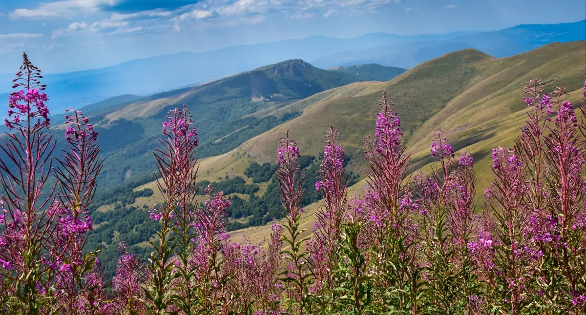 Fot. Katarzyna Juszczyk
