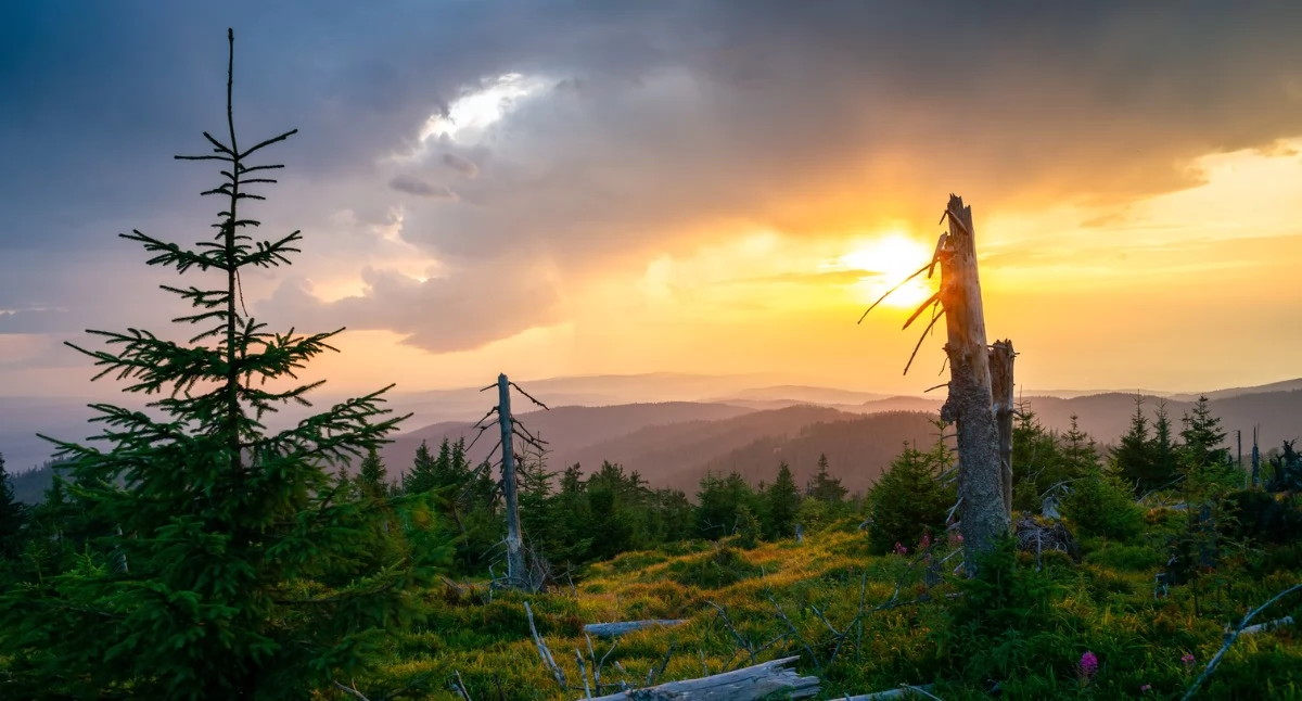 Fot. Adobe Stock