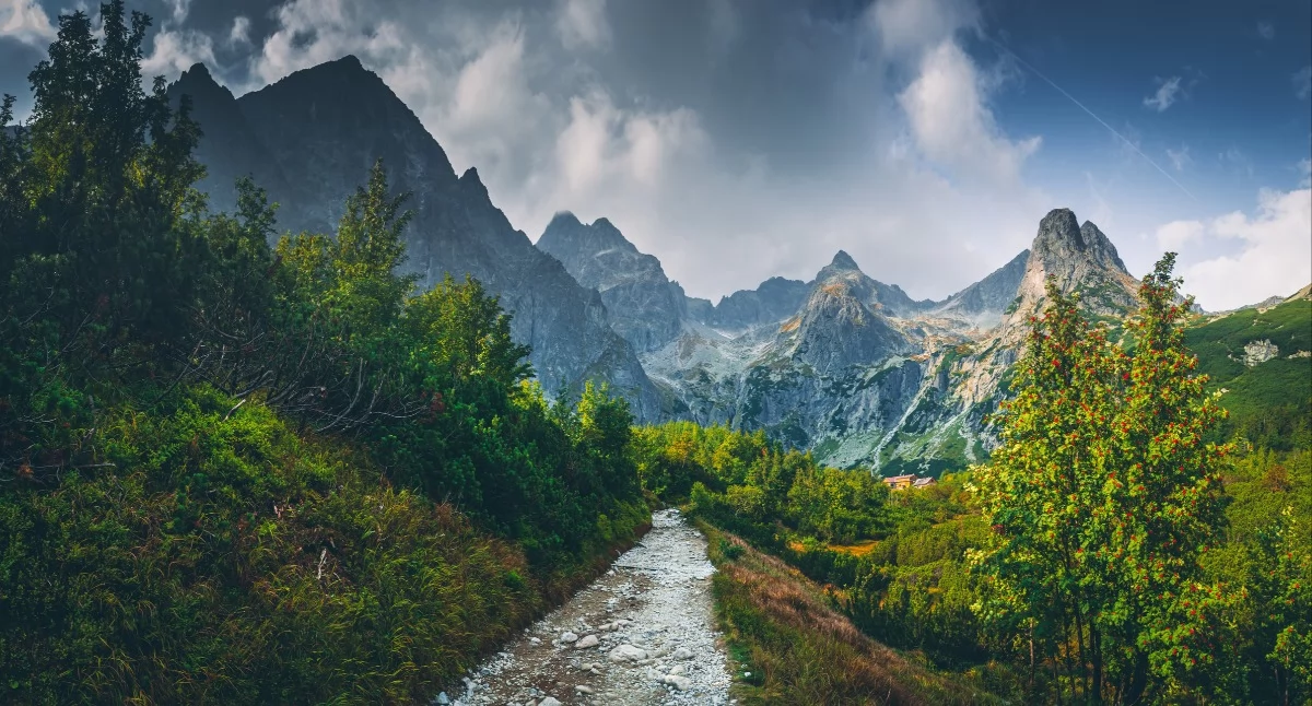 Fot. Adobe Stock