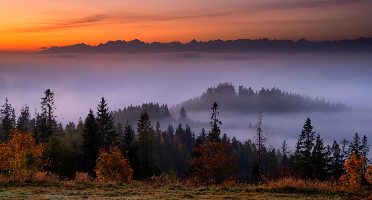 Jesienny Beskid Żywiecki z widokiem na Tatry | Fot. Michał Sośnicki