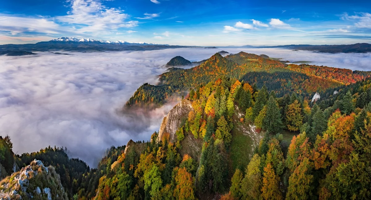 Przy dobrej widoczności z Trzech Koron możemy podziwiać panoramę Tatr, szczyty pasma Babiogórskiego i Gorców | Fot. Bartek Muracki 