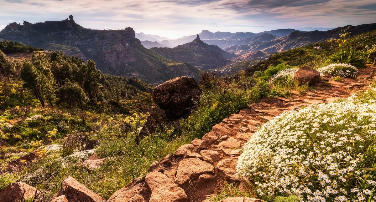 Wyspy Kanaryjskie, Górski romans oceanem Magiczna Canaria - zdjęcie, fotografia
