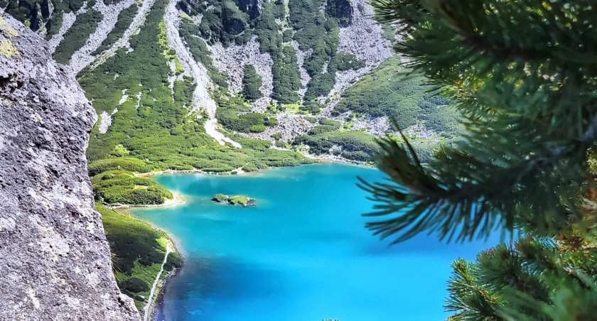 Zdjęcie Przemysław Piegza