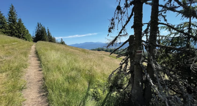 Zdjęcie Kajetan Domagała