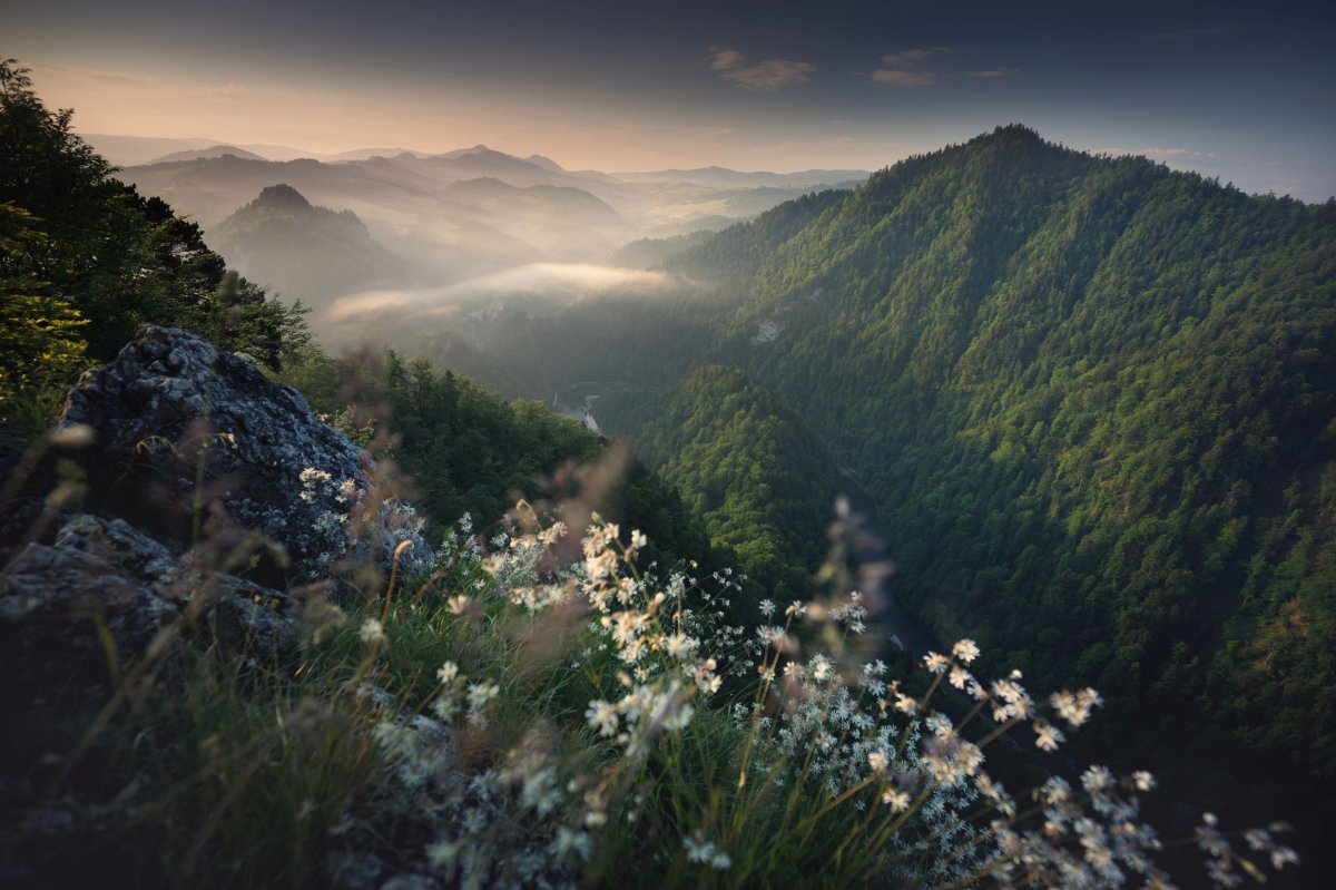 Edytorial , Wydanie Specjalne Edytorial 2/2022 - zdjęcie, fotografia
