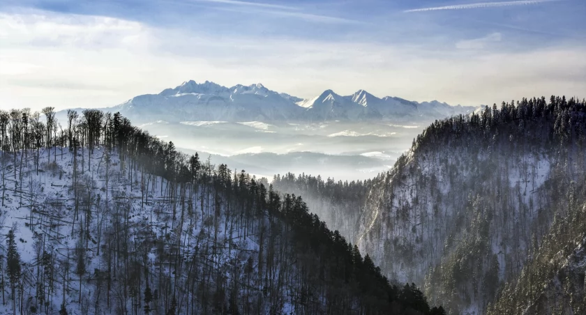 Sokolica codziennie spogląda na Tatry. Warto zmęczyć się na podejściu dla takiej pogody. Zdjęcie Michał Parwa