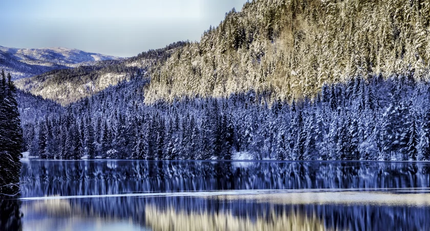 Ośnieżone drzewa odbijające się w tafli wody tworzą niezwykle malowniczy krajobraz. Zdjęcie Agnieszka Paź-Kerner
