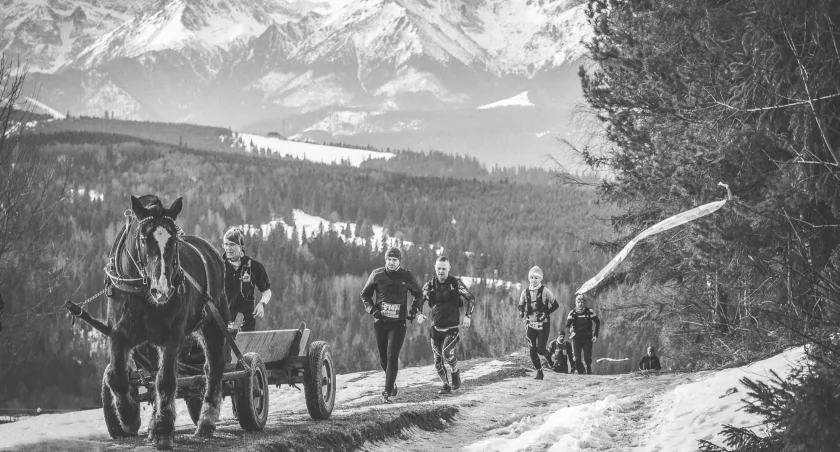 Nad Łapszanką prowadzi nas lokalny czworonożny przewodnik. Zdjęcie Zimowy Janosik / Jan Haręza