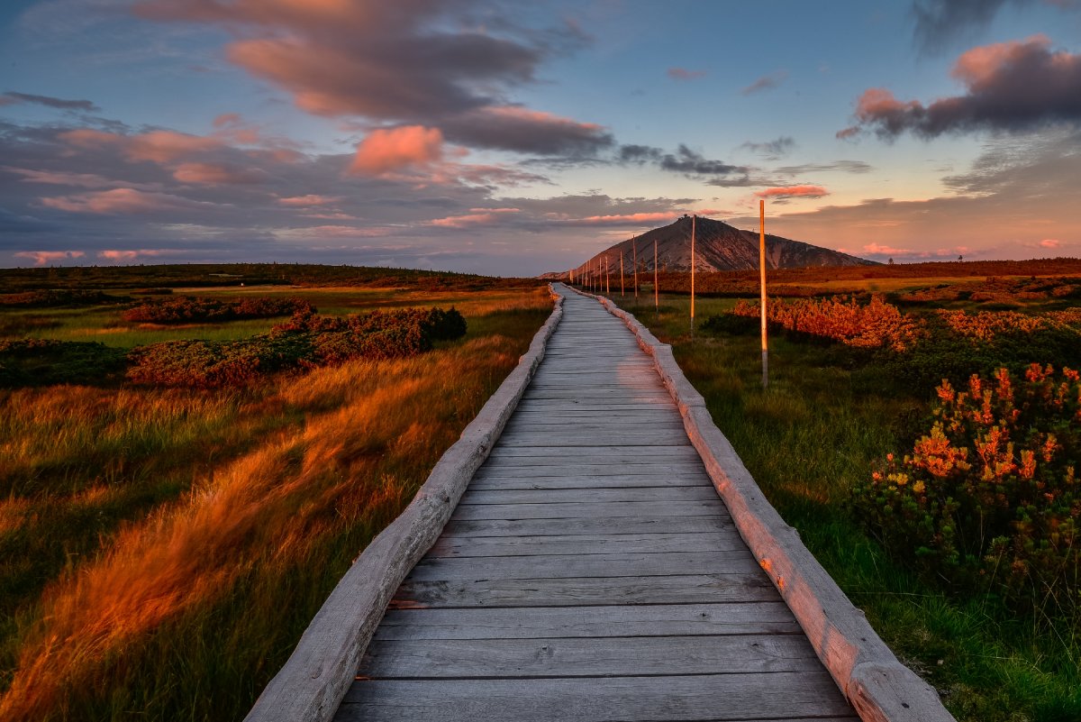 Foto: Rafał Kotylak