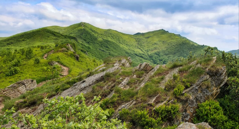 Bieszczady, niekończąca się zieleń przy pustym szlaku na Bukowym Berdzie. Zdjęcie Michał Parwa