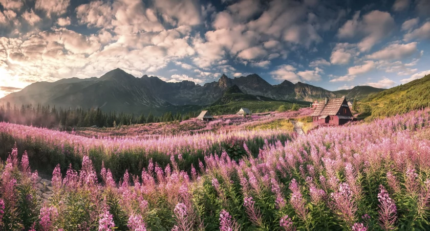 Tatry Polskie, Kultowy krajobraz z Hali Gąsienicowej w stronę Orlej Perci i Kościelca, zdjęcie Karol Nienartowicz