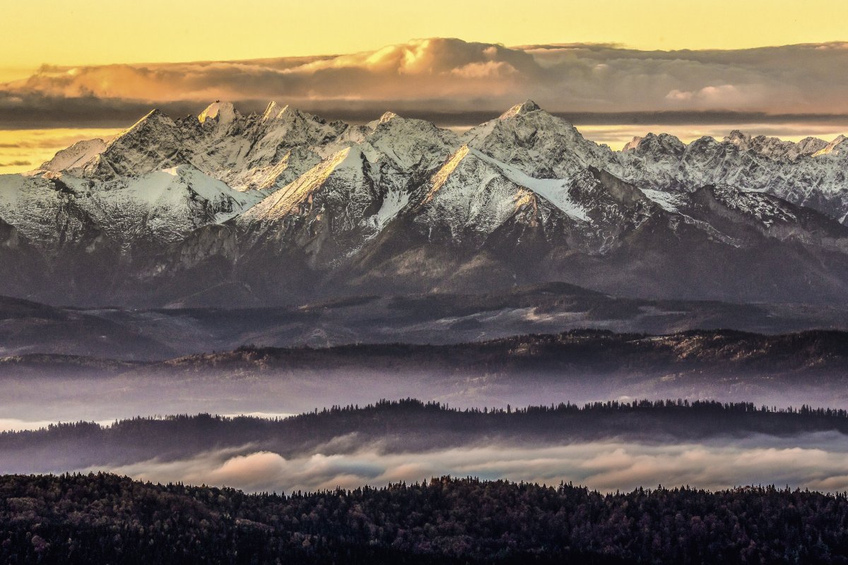 Gorce, widok na Tatry Bielskie i Wysokie fot. Wiktor Baron