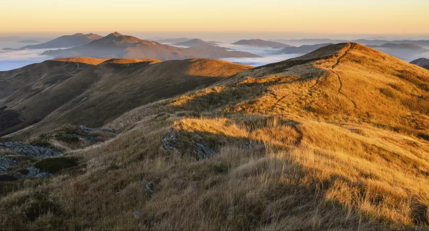 Spojrzenie z Tarnicy w stronę Szerokiego Wierchu, dalej Połoniny – Caryńska i Wetlińska. Zdjęcie Jacek Deneka UltraLovers