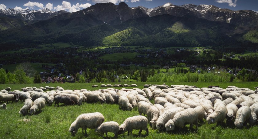 Widok z Pogórza Gubałowskiego, zdjęcie Karol Nienartowicz