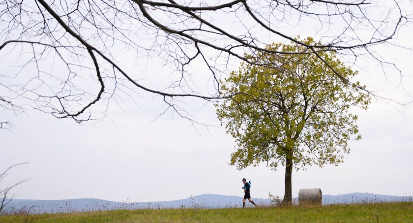 Zdjęcie Michał Loska Fotografia
