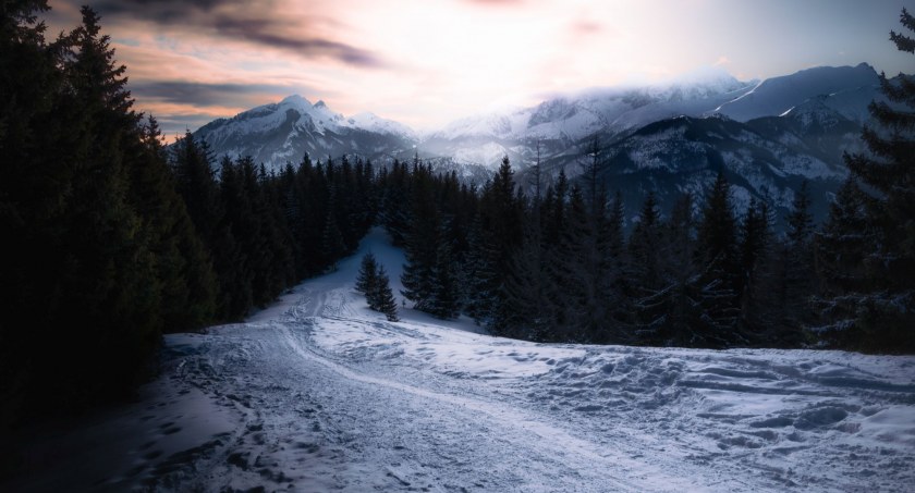 Tatry, Podejście z Rusinowej Polany na Gęsią Szyję. Zdjęcie Maciej Durczak