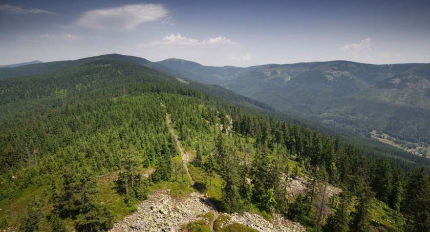 Widok z Trójmorskiego Wierchu w stronę Śnieżnika. Zdjęcie Karol Nienartowicz