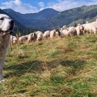 Zdjęcie z archiwum Józefa Michałka