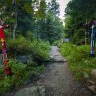 Ścieżkami cmentarza idą też wspinacze, których celem są ściany potężnej Osterwy....