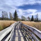 Zdjęcie Elżbieta Słoboda