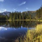 Fot. Mikołaj Gospodarek 