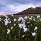 Fot. Magdalena Przysiwek