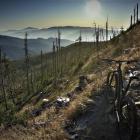 Barania Góra z widokiem na Tatry. Zdjęcie Joachim Czaja beskidyrowerem.eu