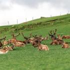 Fot. Grand Tirolia Kitzbühel