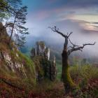 Dolina Prądnika - Skały Koronne | Fot. Jakub Krawczyk