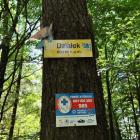 Tak oznaczone są leśne szczyty w Beskidzie Makowskim Fot. Tomasz Cylka