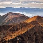 zdjęcie Przemysław Piegza