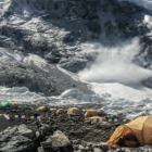 Fot. Archiwum Moniki Witkowskiej