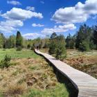 Zdjęcie Elżbieta Słoboda