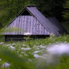 Szałas w Dolinie Strążyskiej