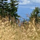 Fot. Kacper Szymański