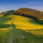 Beskid Żywiecki, Wielka Rycerzowa | fot. J. Krawczyk www.slaskie.travel