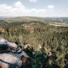 Fot. Paulina Grzesiok