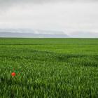 Dzień 1 Wambrzyce Fot. Adobe Stock