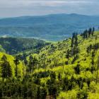 Widok ze szlaku tuż za Przełęczą Przegibek. Zdjęcie Mikołaj Gospodarek