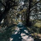 Dolina Baryczy Fot. Paulina Grzesiok