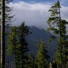 Fot. Kuba Polanowski 