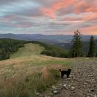 Widok z Redykalnego Wierchu. Zdjęcie Kajetan Domagała