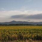 Długi wał gór Ybytyruzú  Fot. Julia Zabrodzka