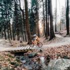 Singletracki na ziemi kłodzkiej. Zdjęcie Paulina Grzesiok