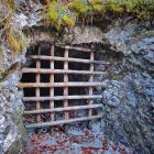 | Fot. Przemysław Piegza