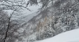 Sroga zima w górach – fotorelacja z Beskidu Sądeckiego