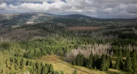 Harz - w krainie rysi, torfowisk i odradzających się lasów
