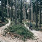 Zdjęcie Paulina Grzesiok