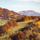  Widok na Tarnicę Fot. Waldemar Czado 
