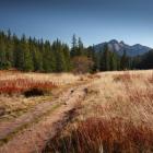 Zdjęcie Karol Nienartowicz